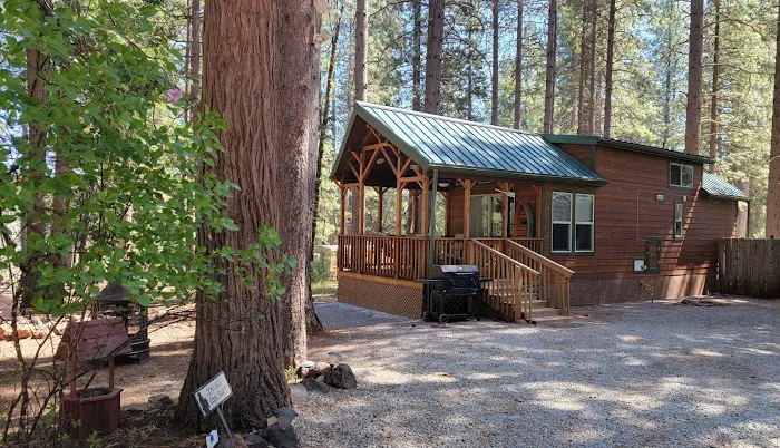 Living Springs RV and Cabins Resort / Mt. Lassen Picture 4