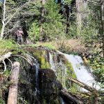 Living Springs Resort