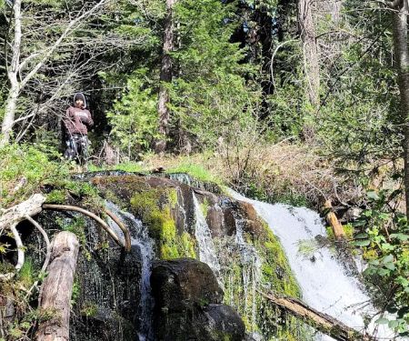 Living Springs Resort