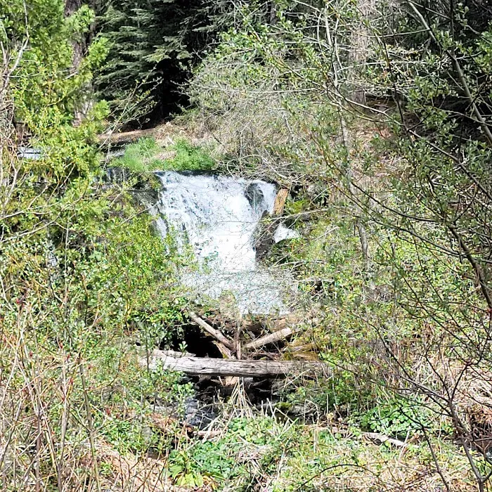 Living Springs Resort Picture 4