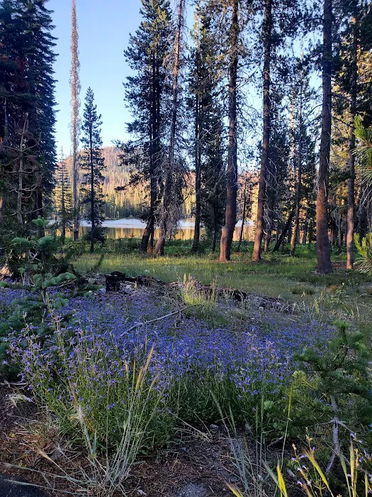 Summit Lake Campground Picture 1