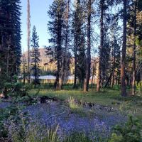 Summit Lake Campground ico