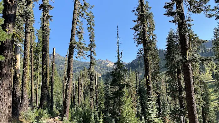 Summit Lake Campground Picture 5