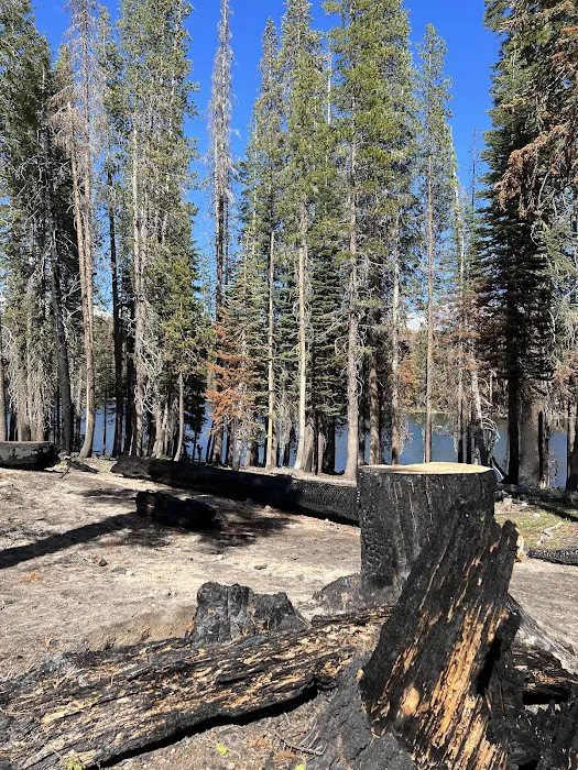 Summit Lake Campground Picture 8