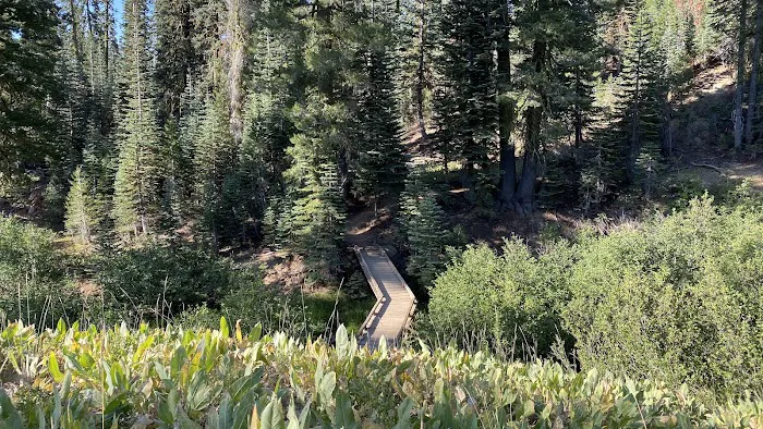 Summit Lake Campground Picture 4