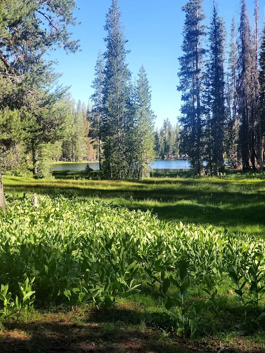 Summit Lake Campground Picture 3