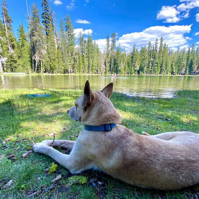 Summit Lake Campground Picture 2