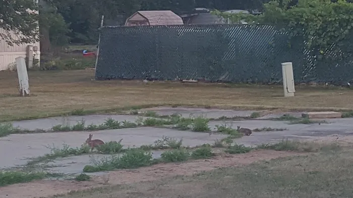 North Morris Estates MHP LLC Picture 6