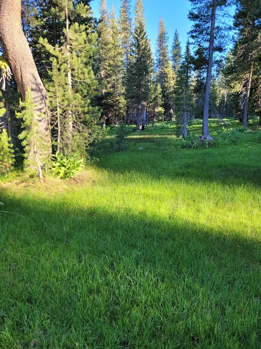 South Summit Lake Campground Picture 8
