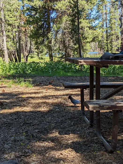 South Summit Lake Campground Picture 4