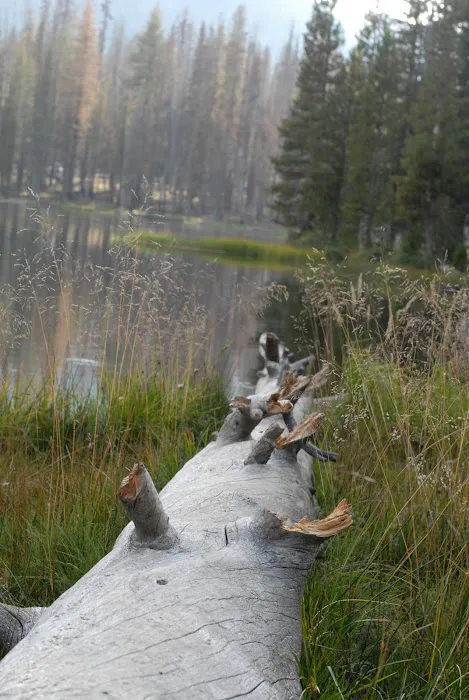 South Summit Lake Campground Picture 1