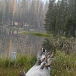 South Summit Lake Campground