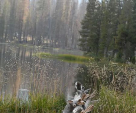 South Summit Lake Campground