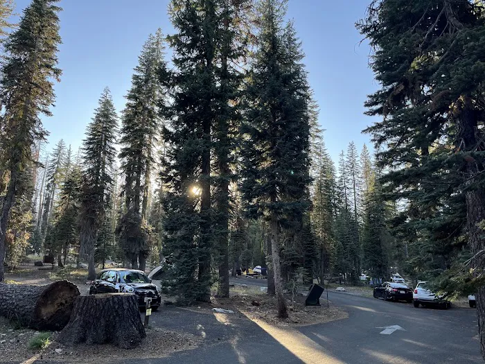 South Summit Lake Campground Picture 9