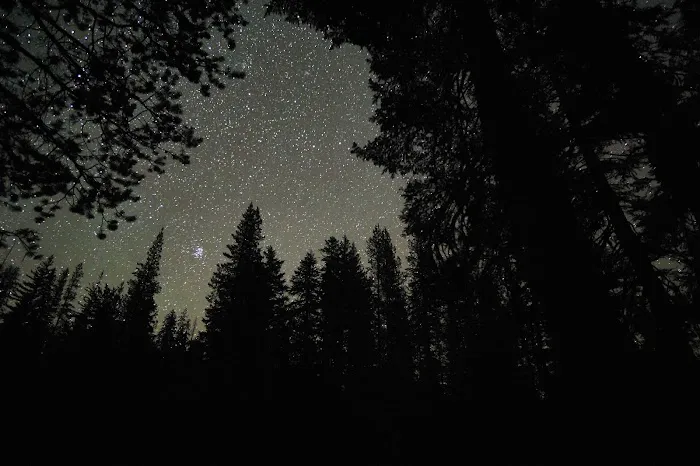 South Summit Lake Campground Picture 5