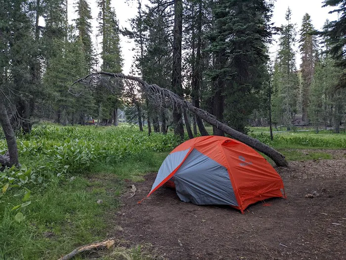 South Summit Lake Campground Picture 10