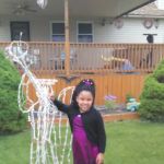 North Dort Manor Ltd