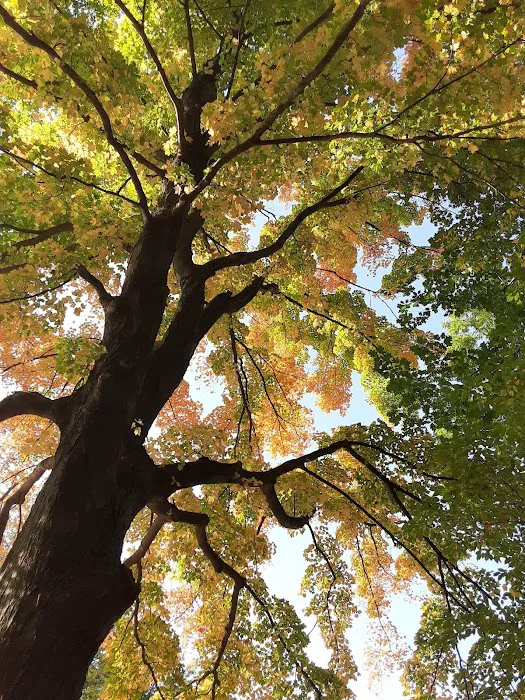 Gunther Mobile Court & Sales Picture 8