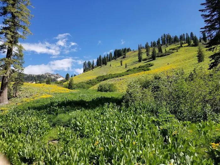 Southwest Walk-In Campground Picture 9