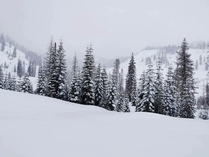 Southwest Walk-In Campground Picture 7