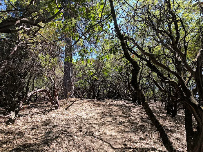 Slaughterhouse Island Campground Picture 10