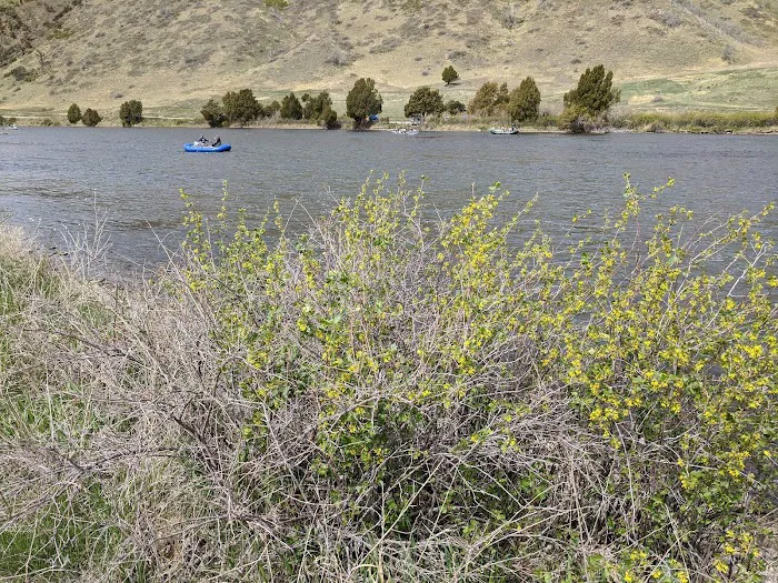 Red Mountain Campground Picture 7