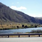 Trapper Springs Campground