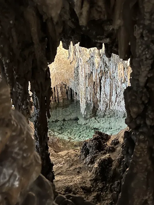 Lewis & Clark Caverns Campground Picture 6