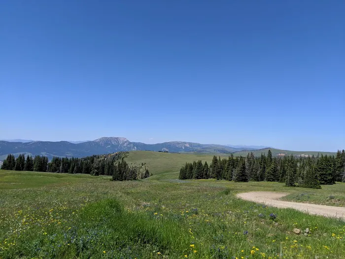 Clover Meadows Dispersed Camping and Picnic Area Picture 2