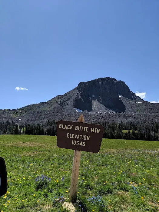 Clover Meadows Dispersed Camping and Picnic Area Picture 1