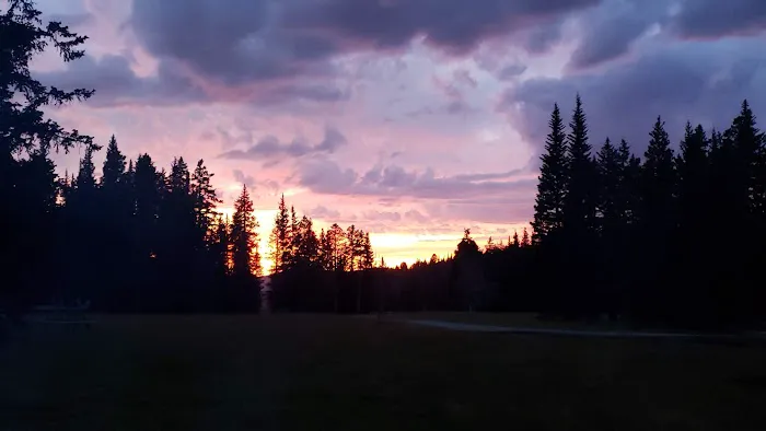 Clover Meadows Dispersed Camping and Picnic Area Picture 4