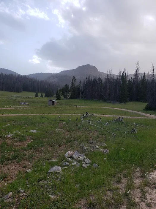 Clover Meadows Dispersed Camping and Picnic Area Picture 8