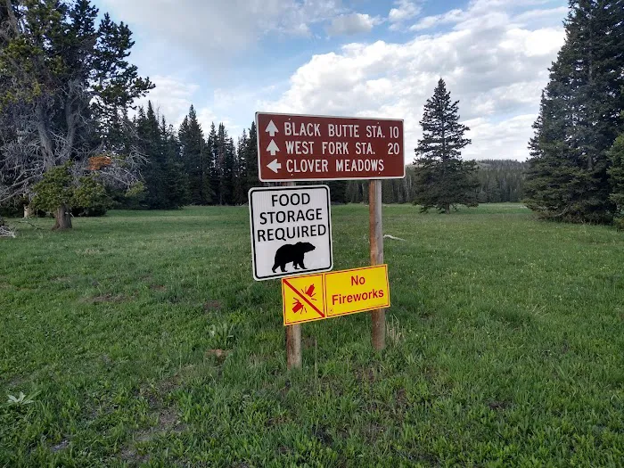 Clover Meadows Dispersed Camping and Picnic Area Picture 6