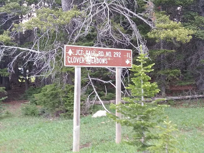 Clover Meadows Dispersed Camping and Picnic Area Picture 5