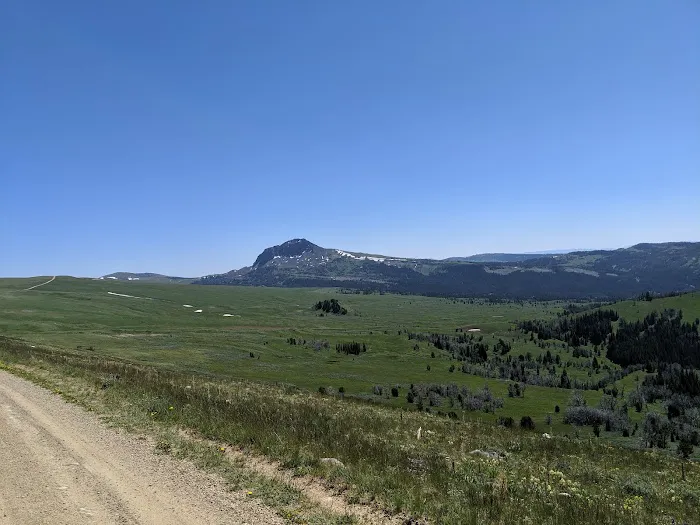 Clover Meadows Dispersed Camping and Picnic Area Picture 10