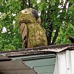 Four Seasons Trailer Park