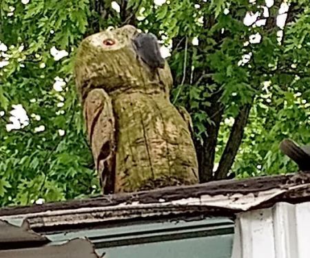 Four Seasons Trailer Park