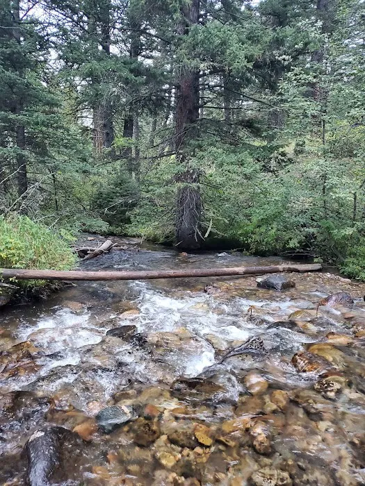 Spanish Creek Cabin Picture 2