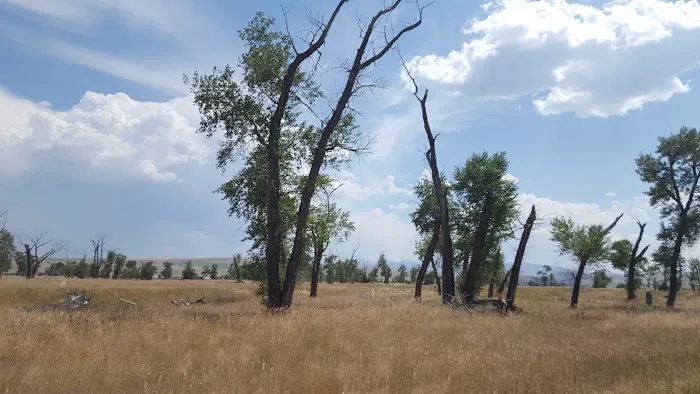 Greycliff Campground Picture 9