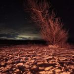 Greycliff Campground