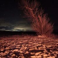 Greycliff Campground ico