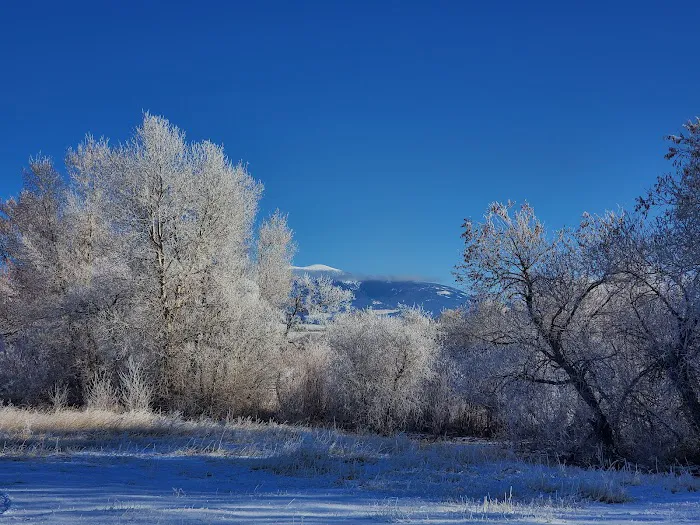 Duck Creek Campground Picture 3