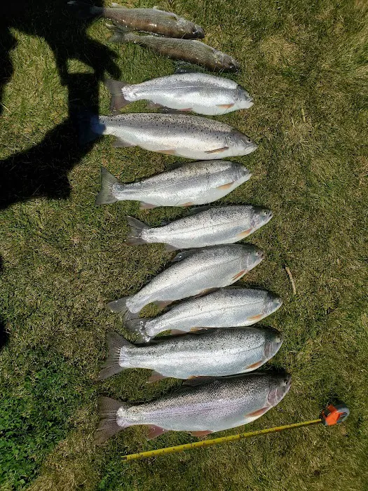 The Silos Marina & Campground Picture 8