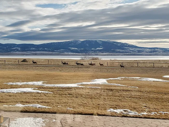 The Silos Marina & Campground Picture 1