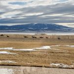 The Silos Marina & Campground