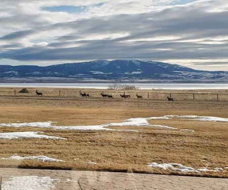 The Silos Marina & Campground