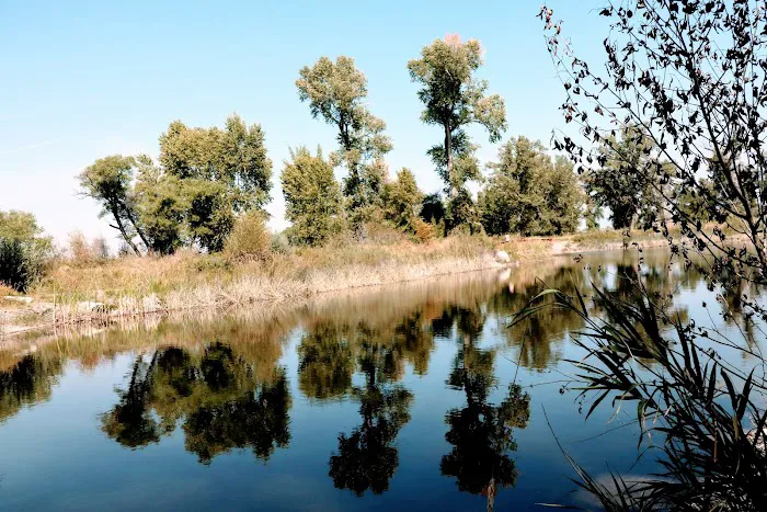 Indian Road Campground Picture 2