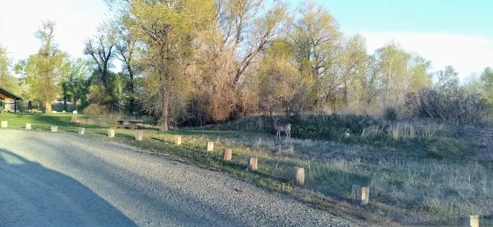 Indian Road Campground Picture 9