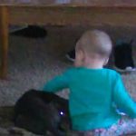 Crickelwood Court Mobile Home