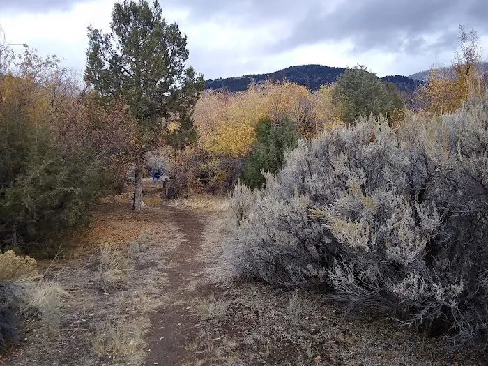 SMOKEY CUBS CAMPGROUND Picture 7